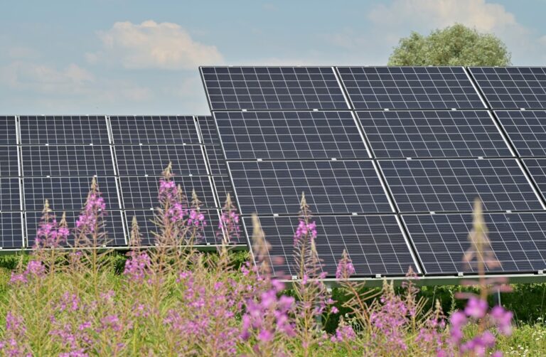 Cómo elegir el mejor panel solar para tus necesidades