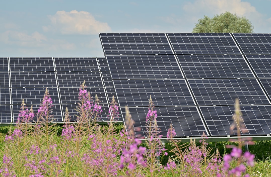 Cómo elegir el mejor panel solar para tus necesidades Cómo elegir el mejor panel solar para tus necesidades