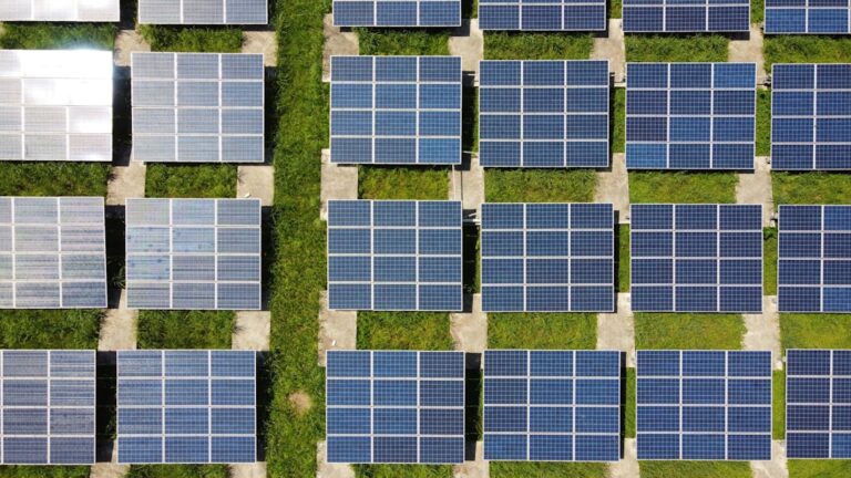 Impacto positivo de los paneles solares en el medio ambiente